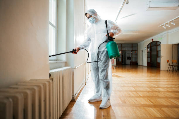 Best Emergency Pest Control  in Ironde, AL